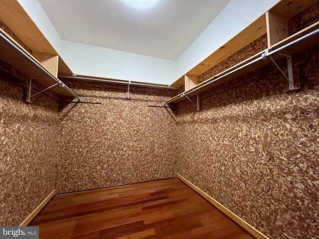 spacious closet featuring wood finished floors