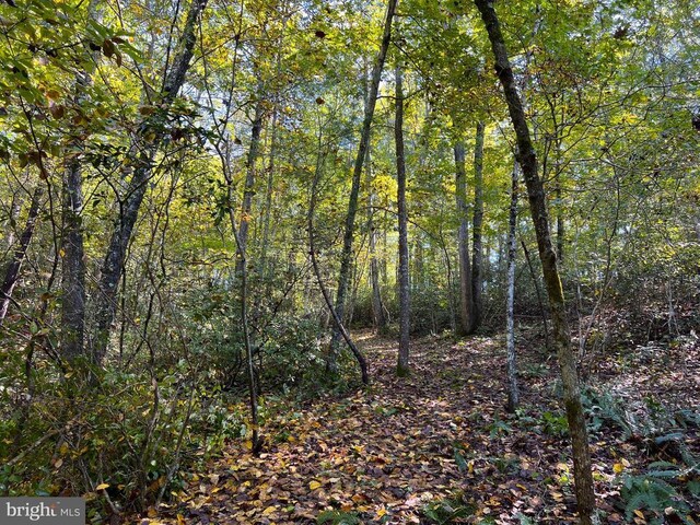 view of local wilderness featuring a forest view