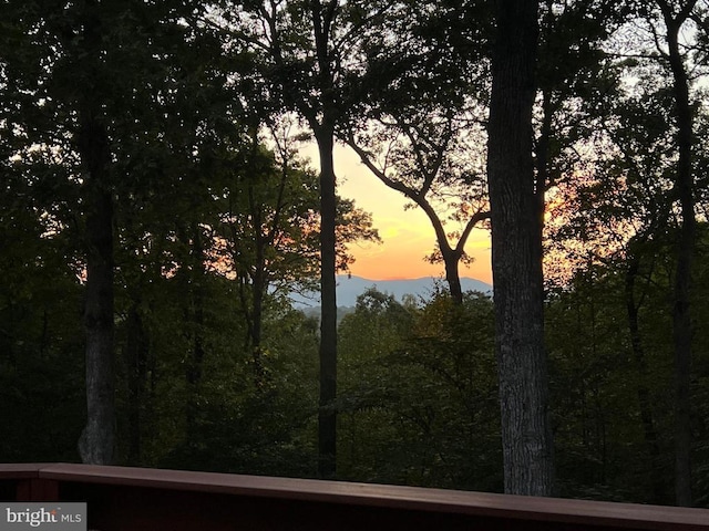 nature at dusk with a view of trees