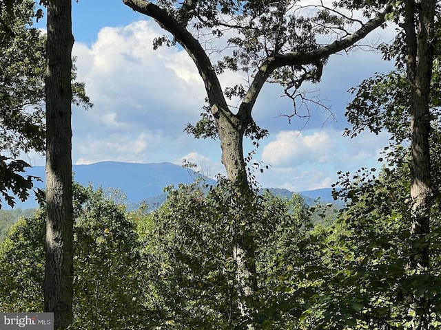 view of mountain feature