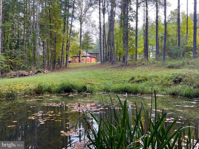 view of yard with a water view