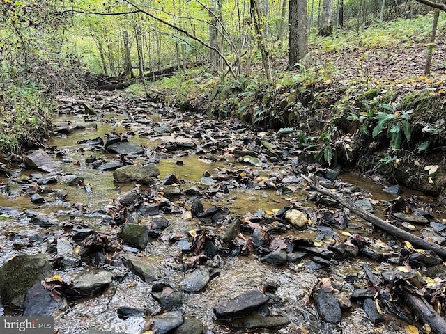 view of local wilderness