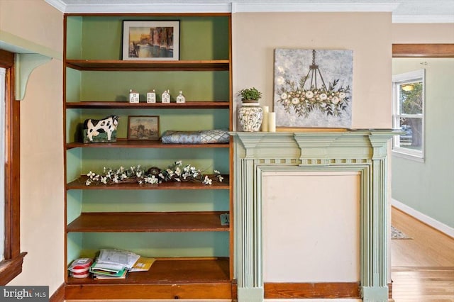 interior space with baseboards, wood finished floors, and ornamental molding