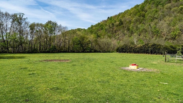view of yard featuring a view of trees