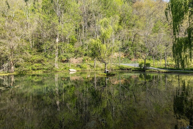 view of landscape with a water view and a wooded view
