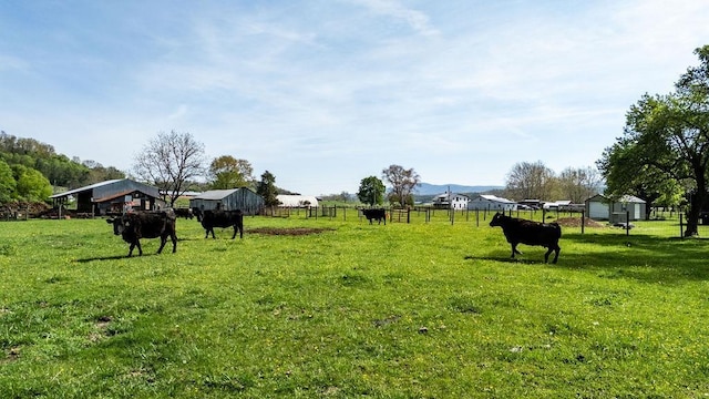 view of yard with an outdoor structure, an exterior structure, fence, and a rural view