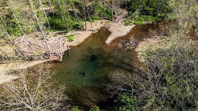 view of local wilderness
