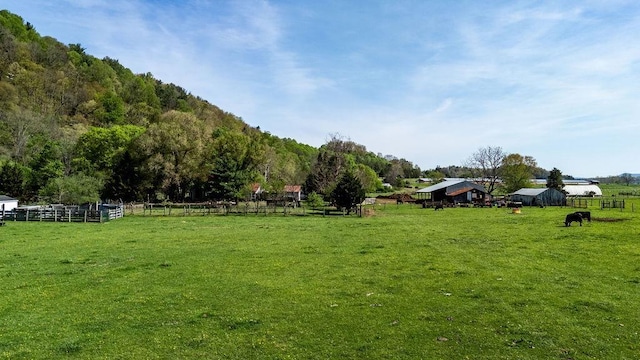 view of yard with fence and a rural view