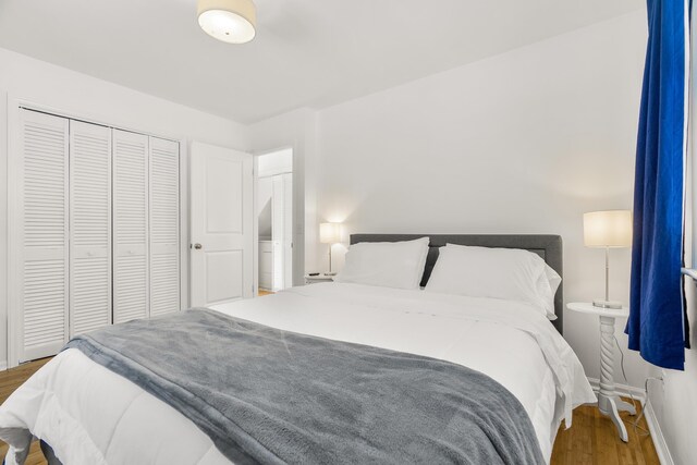 bedroom featuring wood-type flooring and a closet