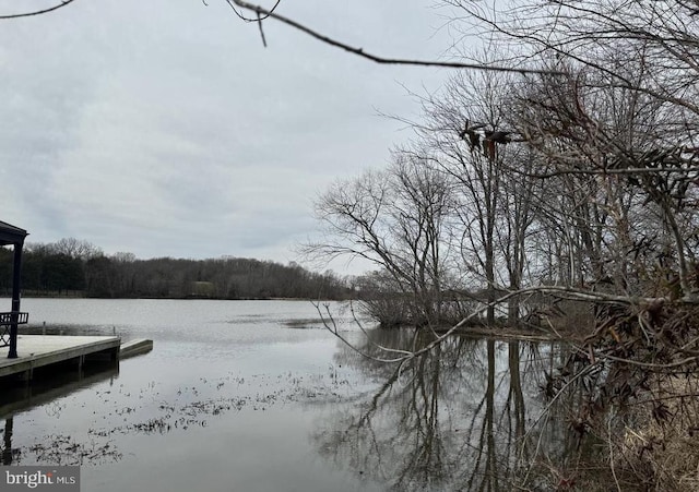 property view of water