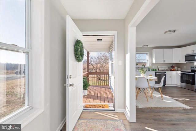 entryway featuring hardwood / wood-style floors