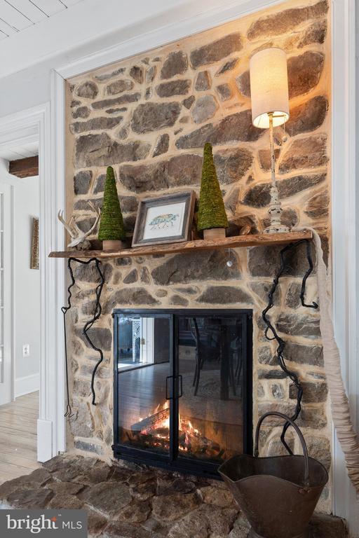 room details featuring a fireplace and hardwood / wood-style flooring