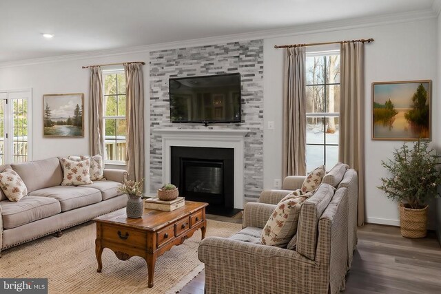 living room with wood finished floors, crown molding, and a large fireplace