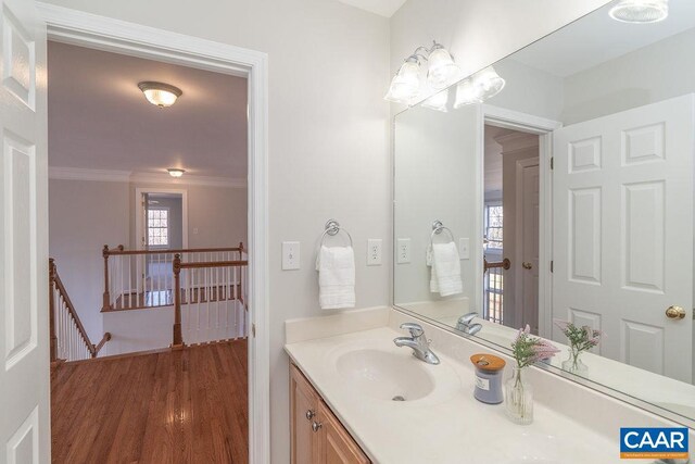 bathroom featuring wood finished floors, vanity, and crown molding