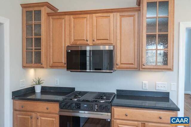 kitchen featuring stainless steel appliances, glass insert cabinets, and dark stone countertops