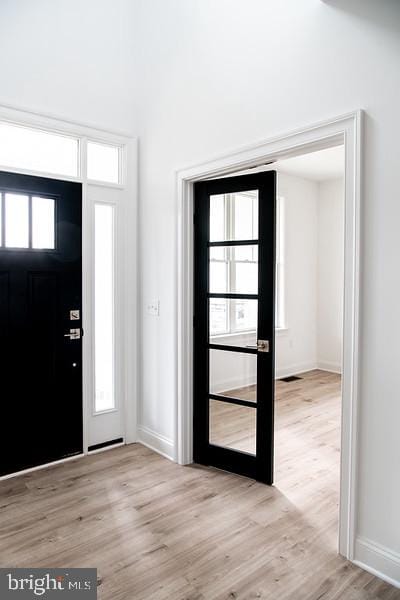 foyer entrance featuring plenty of natural light and light hardwood / wood-style floors