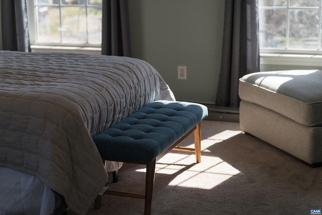 bedroom with carpet floors