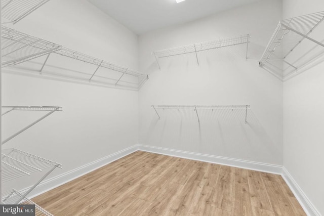 spacious closet with wood finished floors