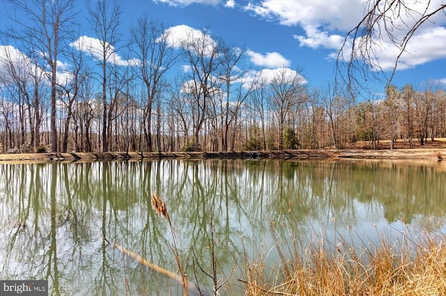 property view of water with a forest view