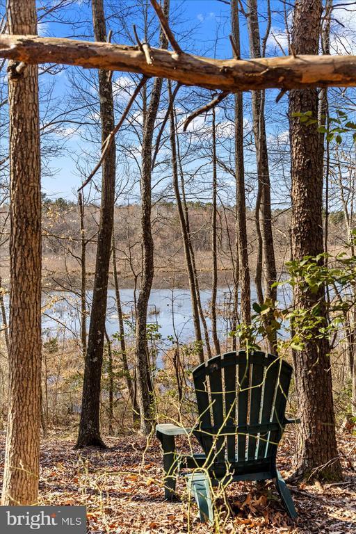 water view with a view of trees