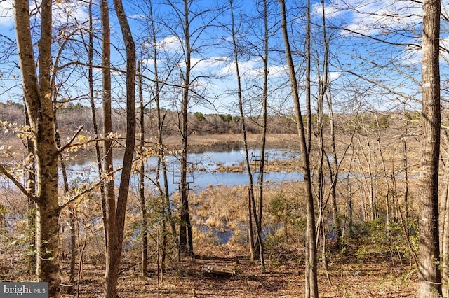 property view of water featuring a view of trees