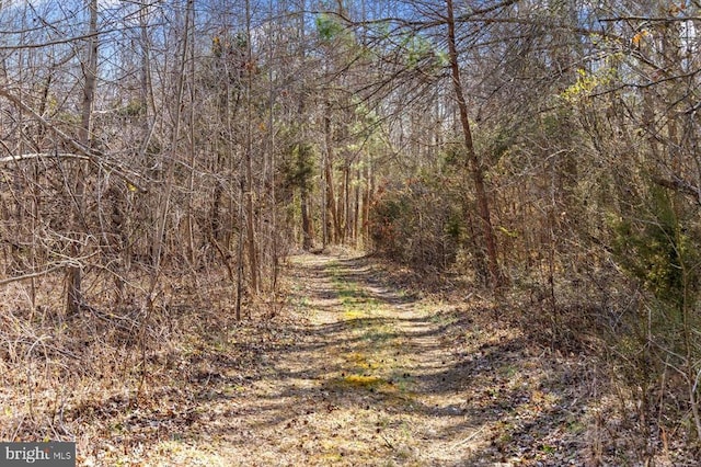 view of landscape with a forest view