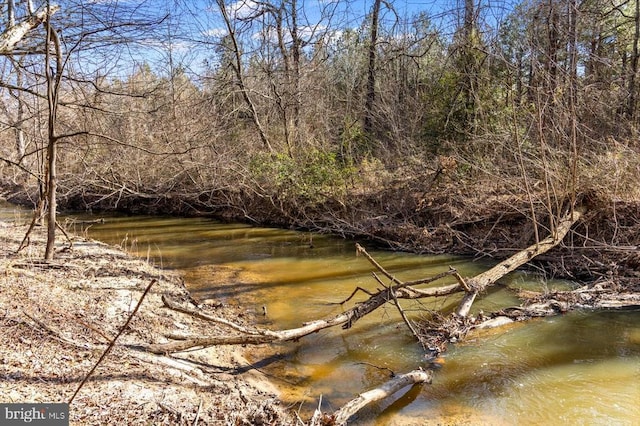 view of nature