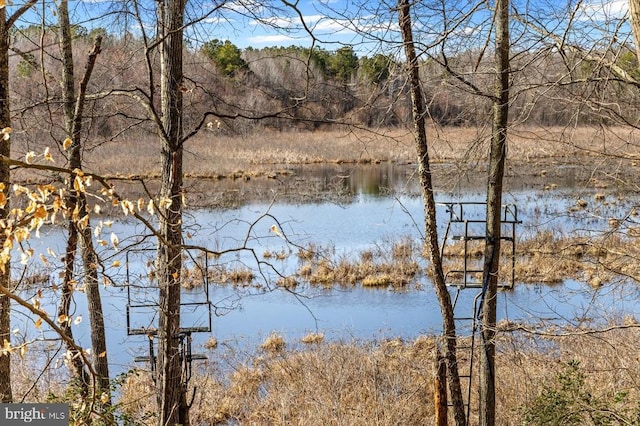 view of water feature with a forest view