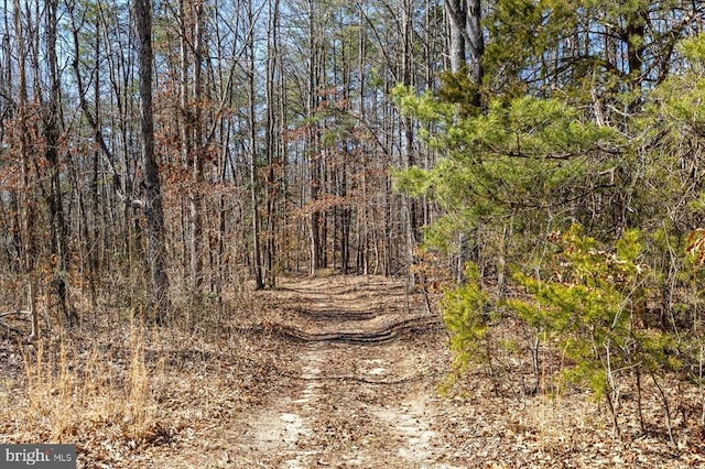 view of nature with a forest view