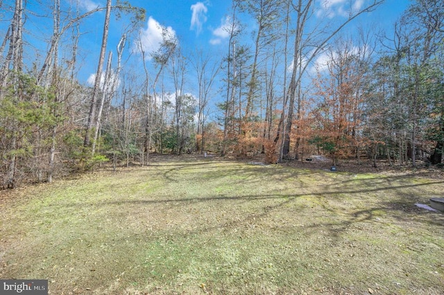 view of yard with a forest view