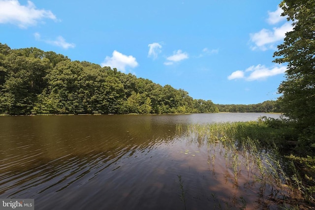 water view featuring a wooded view