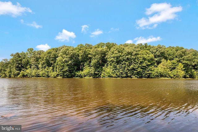 property view of water featuring a wooded view