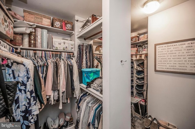 view of spacious closet