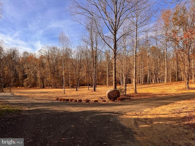 0 Flatwood Ln, Washington VA land for sale