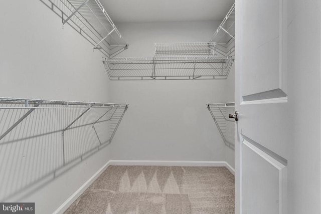 walk in closet with carpet