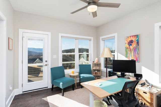 office space with dark hardwood / wood-style floors and ceiling fan