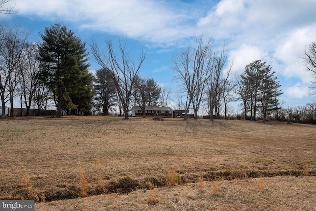 view of nature featuring a rural view