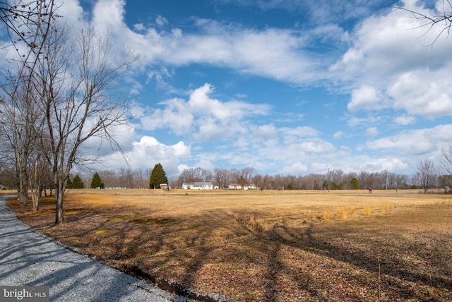 view of yard featuring a rural view