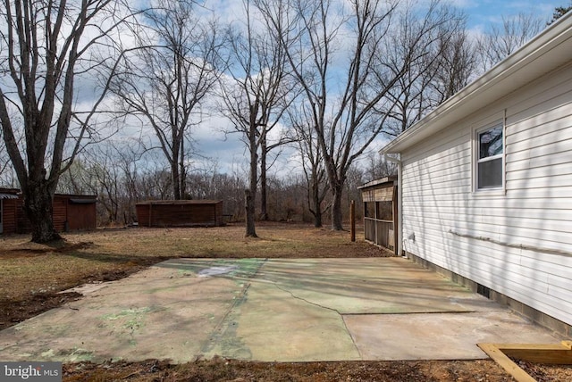 view of yard featuring a patio area