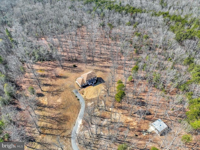 bird's eye view