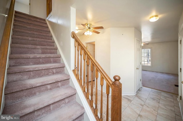 stairs featuring ceiling fan and carpet flooring