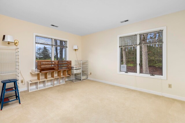 miscellaneous room featuring carpet floors