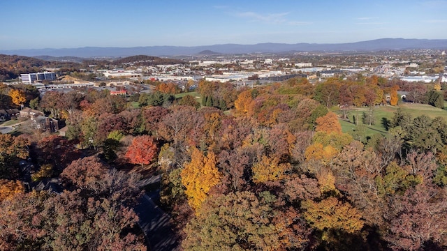 drone / aerial view with a mountain view