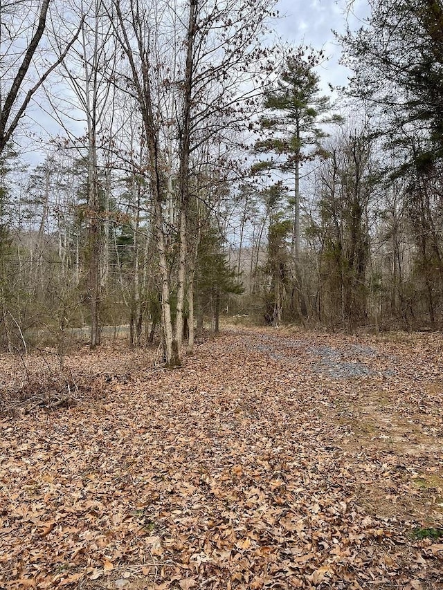 Listing photo 3 for 70-131 Estaline Valley Rd, Craigsville VA 24430