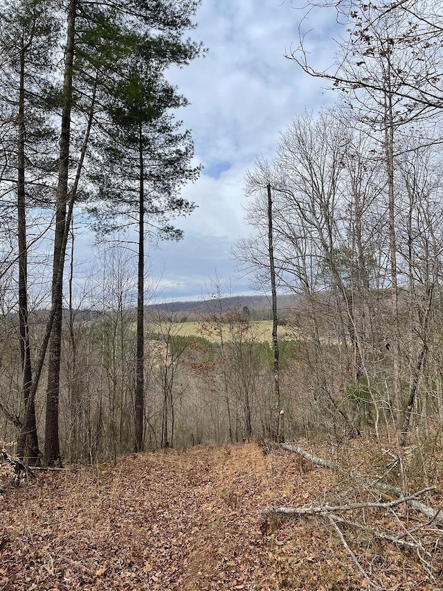 70-131 Estaline Valley Rd, Craigsville VA, 24430 land for sale