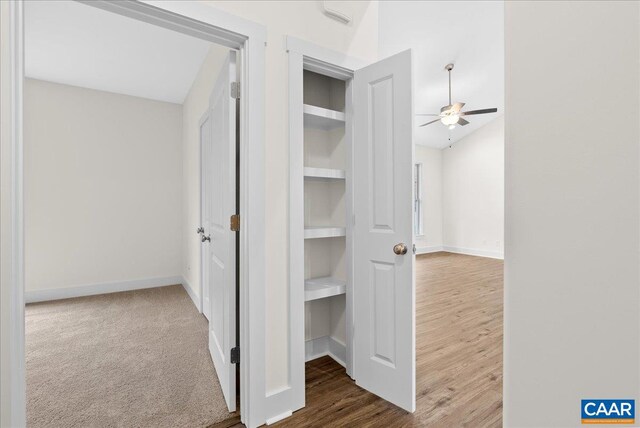 view of closet