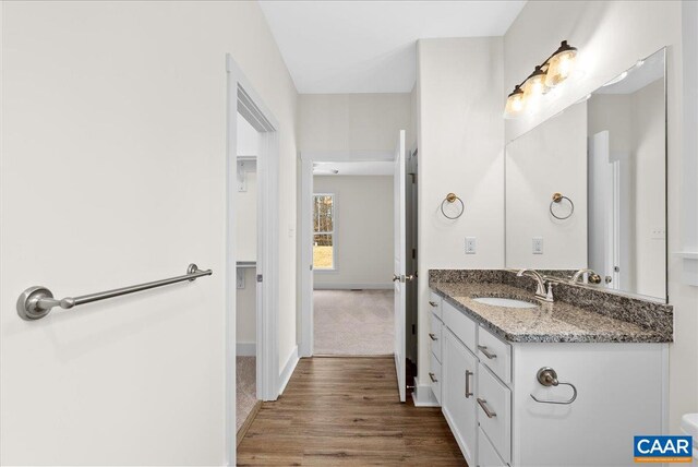 bathroom featuring hardwood / wood-style flooring and vanity