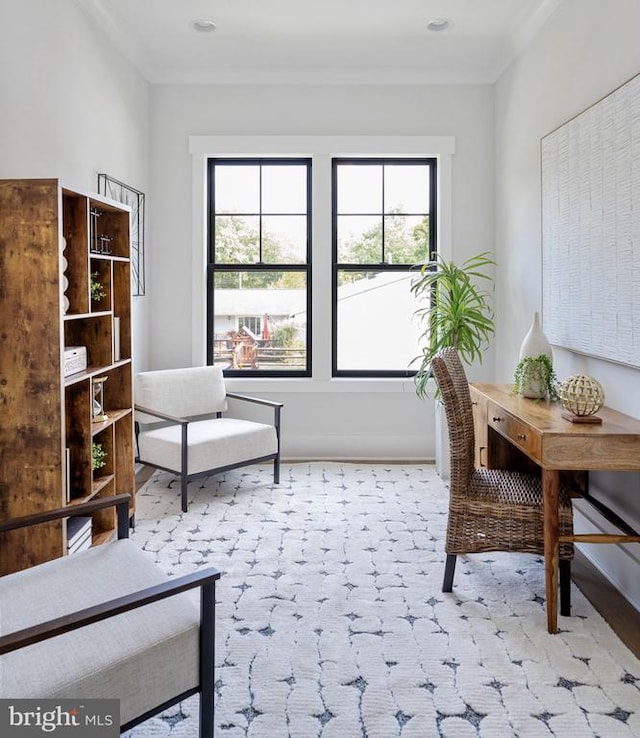 office area featuring light colored carpet