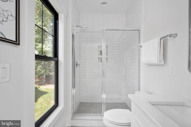 bathroom with a shower stall, toilet, and vanity