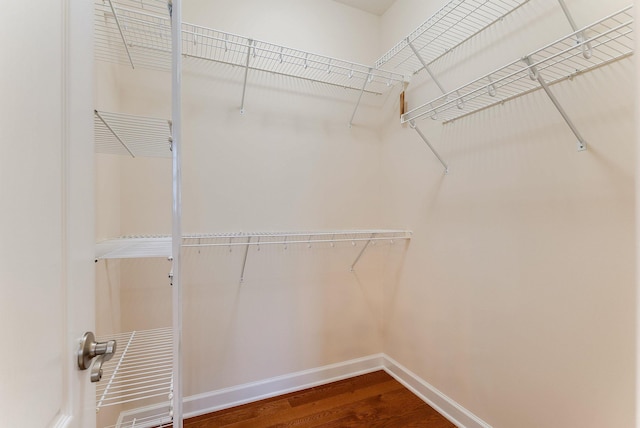 walk in closet with hardwood / wood-style flooring